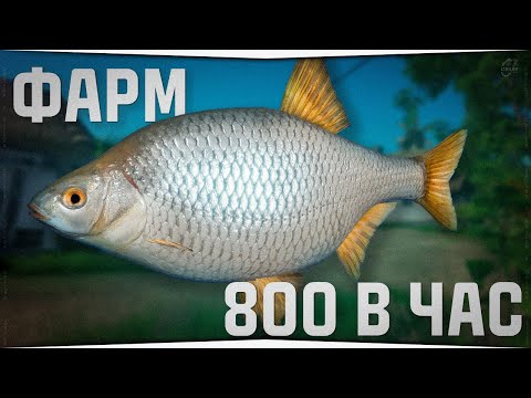 Видео: Сумасшедший фарм серебра для новичков! Тарань на реке Северский Донец • Проверка точки