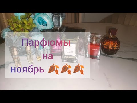 Видео: Парфюмы ноября. Чем пользуюсь. #ароматы #парфюмы