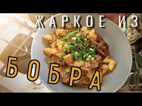 Видео: ЖАРКОЕ ИЗ БОБРА В КАЗАНЕ. "Дикая Кухня"