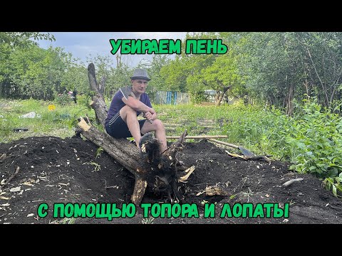 Видео: Убираем пень с помощью топора и лопаты
