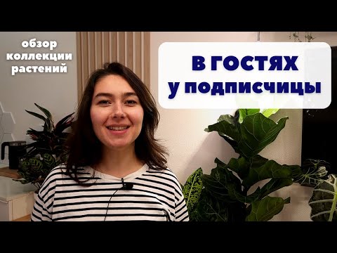 Видео: В ГОСТЯХ у Екатерины / Обзор коллекции РАСТЕНИЙ