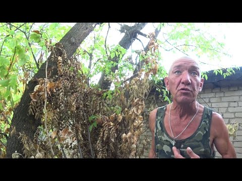 Видео: ЖИВУ В ЛЕСУ ОДИН В ШАЛАШЕ Часть 2
