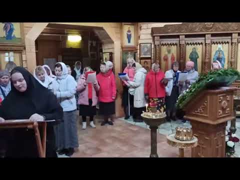Видео: Акафист святому Ефрему Неа-Макрийскому в Спасо-Влахернском монастыре Деденево.