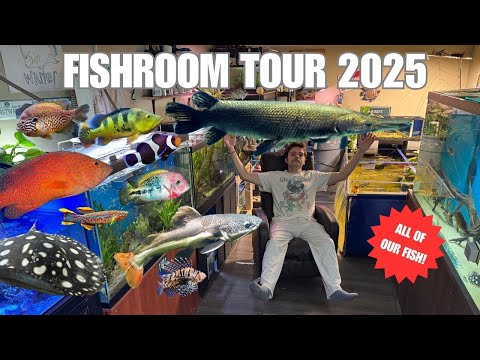 Видео: СКОЛЬКО РЫБ МОЖЕТ ПОМЕСТИТЬСЯ В МОЕМ ПОДВАЛЕ?!