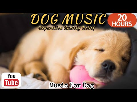 Видео: 20 часов любимой музыки собак🐶💖Музыка для сна собак 🐶🎵 Музыка для снятия беспокойства при разлуке🎵