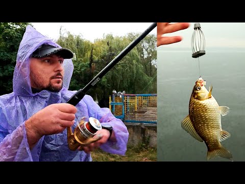 Видео: ТВЕРСКАЯ Кормушка в работе! Как наловить рыбы, когда нет Клева! ЭТА НАЖИВКА СПАСЛА РЫБАЛКУ!