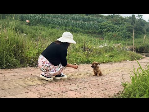 Видео: Пойдём со мной домой, там есть мясо...