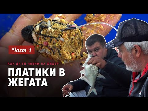 Видео: ПЛАТИКИ в жегата / Как да ги ловим на ФИДЕР  / Приготвяне на захранка и такъми- 1 част