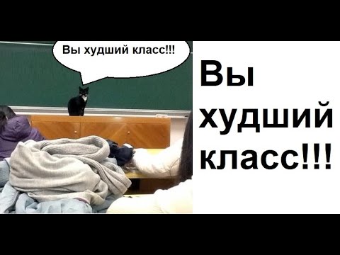 Видео: Лютые приколы. Вы самый худший класс, за все мои годы!!!