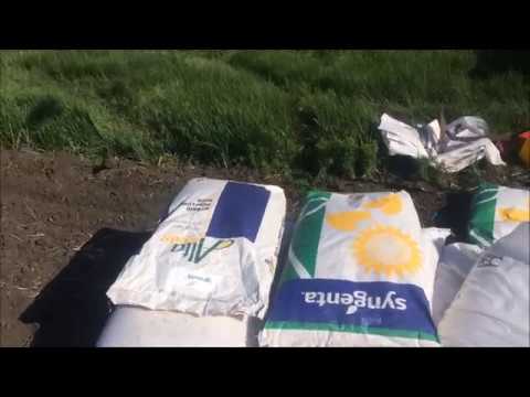 Видео: Посев Syngenta Neoma и Alta seeds 158