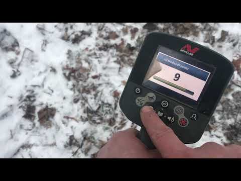 Видео: Minelab ctx 3030 тест на глубину чешуи.