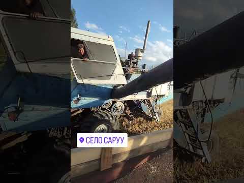 Видео: Ак эмгектин наны таттуу #адалэмгек #эмгек #труд #урожай #золотаяосень #дыйкан #саруу #жетиөгүз #kg