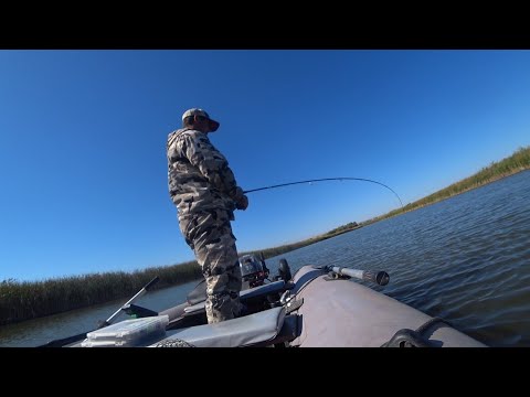Видео: жёсткие удары судака 🐋🎣📽️#рыбалка на Дону открытие сезона #дон #fishing #судак #рыба #осень #кайф 
