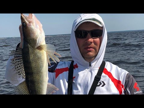 Видео: Гоша мечтал поймать хотя бы одного судка, а поймал 15 судаков.