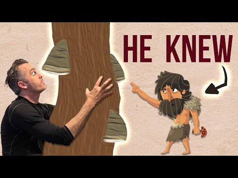 Видео: Этот ледяной человек знал о копытном грибке. А вы?