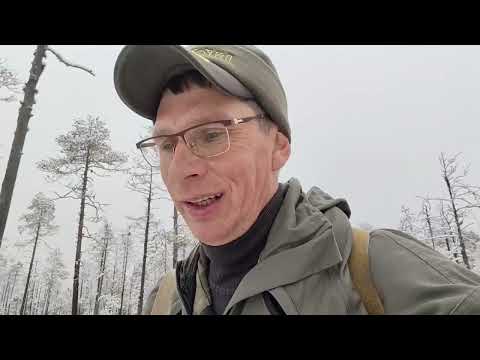 Видео: Первый снег, всё изменилось. Иду с охоты к трициклу. 02.11.25