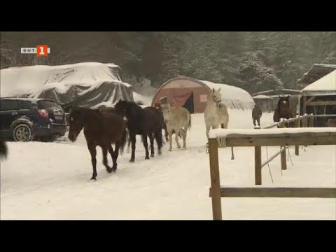 Видео: Бразди – 27.02.2021 по БНТ