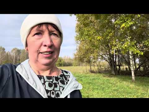 Видео: Про работу и не много о личном #герефорд #корова #работа #фермер #здоровье #забота #личность 