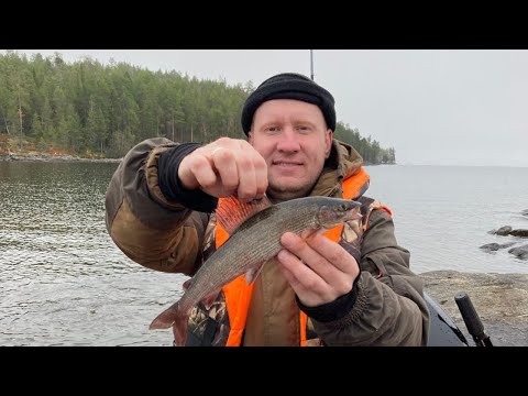 Видео: Карелия, оз. Пяозеро, сентябрь. плохая рыбалка и отличный отдых!