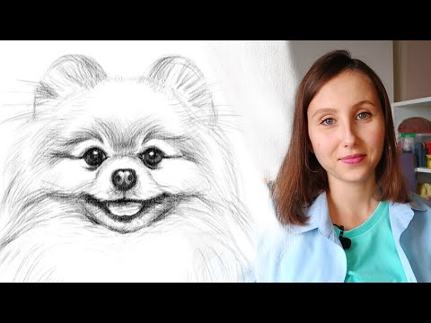 Видео: Как нарисовать собаку карандашом поэтапно для начинающих