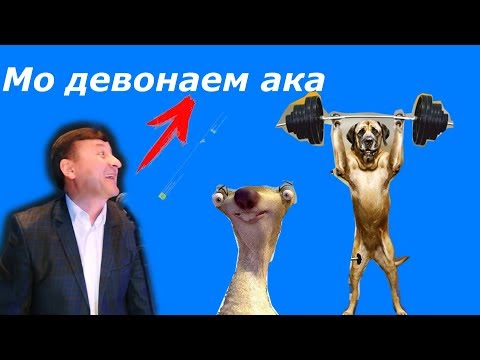 Видео: Ташриф "Девонаи Хот" хахахха "Саг газид" // Таджикский Прикол