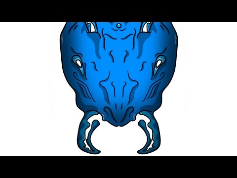 Видео: Начнем с чистого листа. Ants Finland