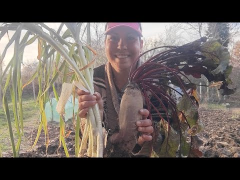Видео: Огород в ноябре