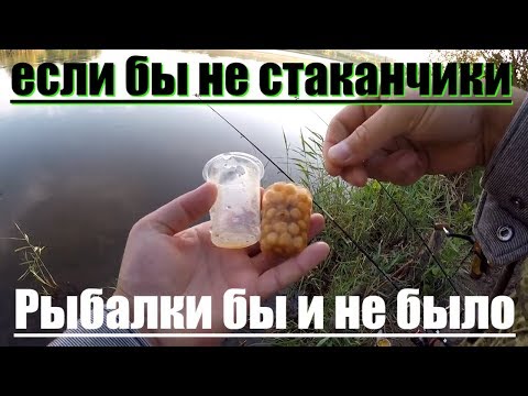 Видео: Рыбалка Ловля КАРПА. Карп на стаканчики. Рыбалка на Карпа в ЖАРУ.