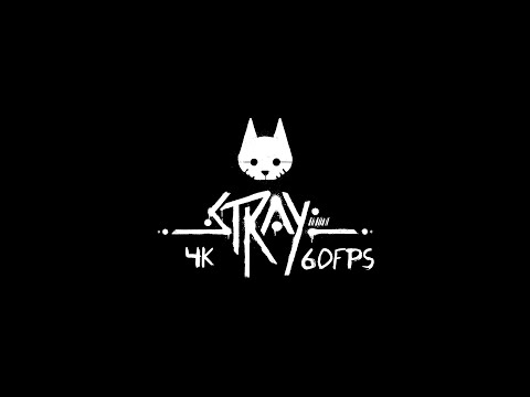 Видео: Полное прохождение Stray 4K60FPS (Игрофильм)