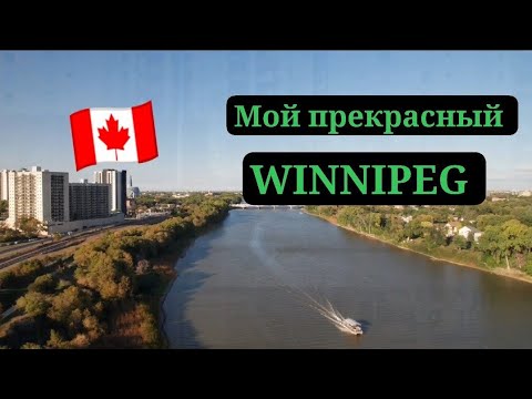 Видео: Мой ВИННИПЕГ 🇨🇦 Канада