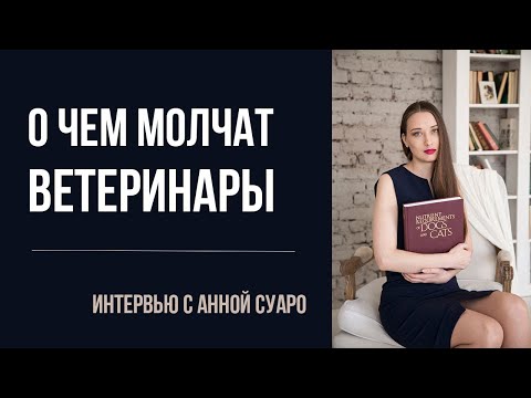 Видео: Как найти хорошего ветеринара | Честные ответы о работе вет врача