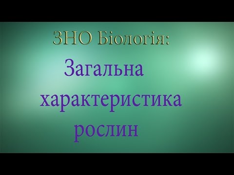 Видео: ЗНО Біологія  Загальна характеристика рослин