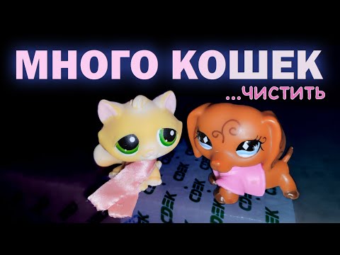 Видео: LPS: 14 петов в посылке