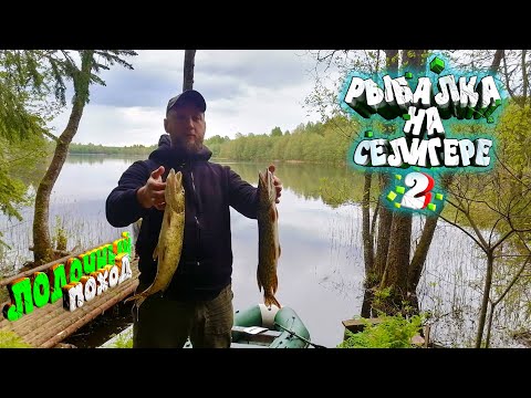 Видео: Селигер 2022 Лодочный поход #2