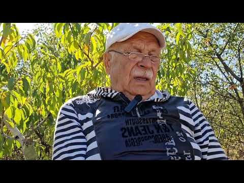 Видео: Бальзам Глущенко.14.09.25 р.
