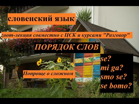 Видео: Порядок слов в словенском языке