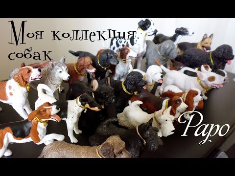 Видео: Моя коллекция собак от Папо/ My dogs collection by Papo