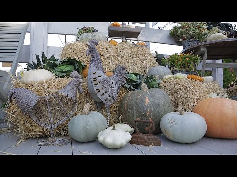 Видео: Сад с нуля. Садовый декор.