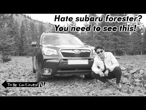 Видео: "Бие жижиг ч бэлчээр том" | Daily Drive | Episode 3 | [Forester SJG]