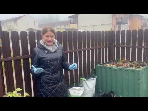 Видео: Как использую листовой опад в огороде