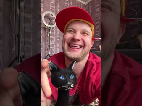 Видео: КОЛЛЕКЦИЯ СМЕШНЫХ ВИДЕО / ПОРЖАТЬ / Смешные видео / Юмор 2025 😂