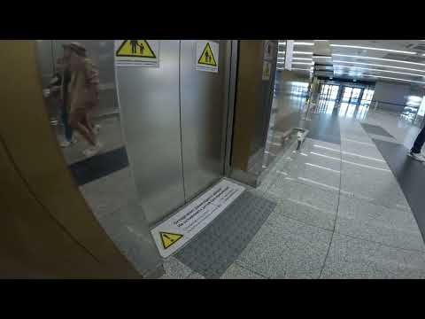 Видео: Аэропорт Шереметьево! Ещё одни лифты KONE MonoSpace(Q=1800, V=1.0, 2018 г.в.)