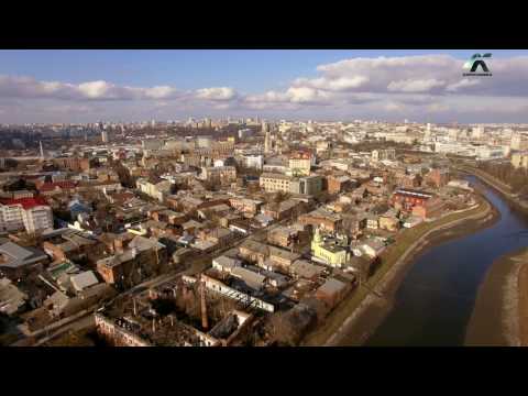 Видео: Городские джунгли