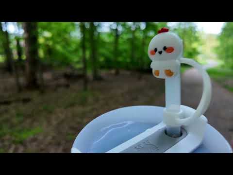 Видео: плюсы и минусы кружки Стэнли, честный обзор год спустя // #stanleycup #stanley