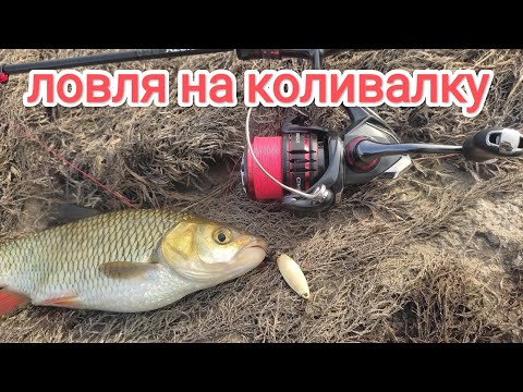 Видео: Рибалка на коливалку  !! ловля риби в траві рибалка на спінінг літом