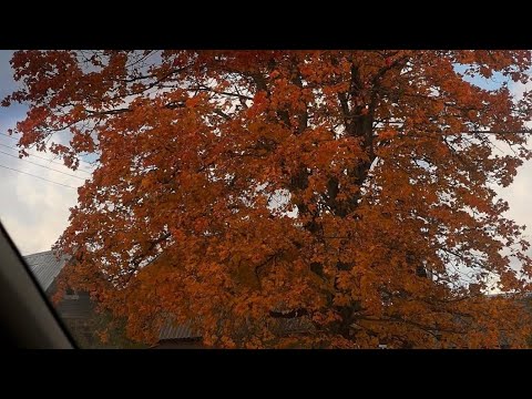 Видео: Что ты должна сделать или от чего отказаться чтобы принять Родовой Дар ?🫶🏻🌳