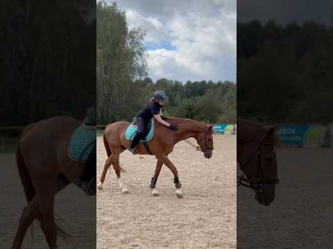 Видео: Нравится такой формат? 🥺 #horse #equestrian #лошади #конныйспорт