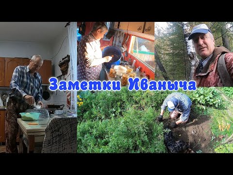 Видео: А мы всё к зиме готовимся