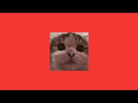 Видео: нервы - слишком влюблён (speed up)