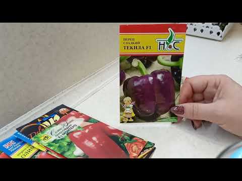 Видео: Эти сроки посева семян перца для меня самые оптимальные.30.01.2022г